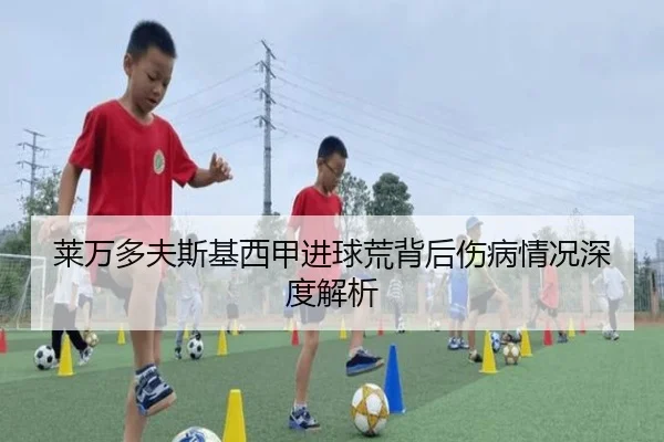 莱万多夫斯基西甲进球荒背后伤病情况深度解析